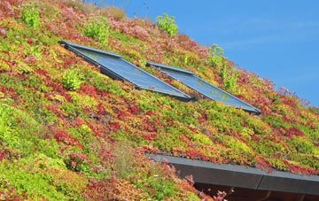 West Lockinge living roof systems